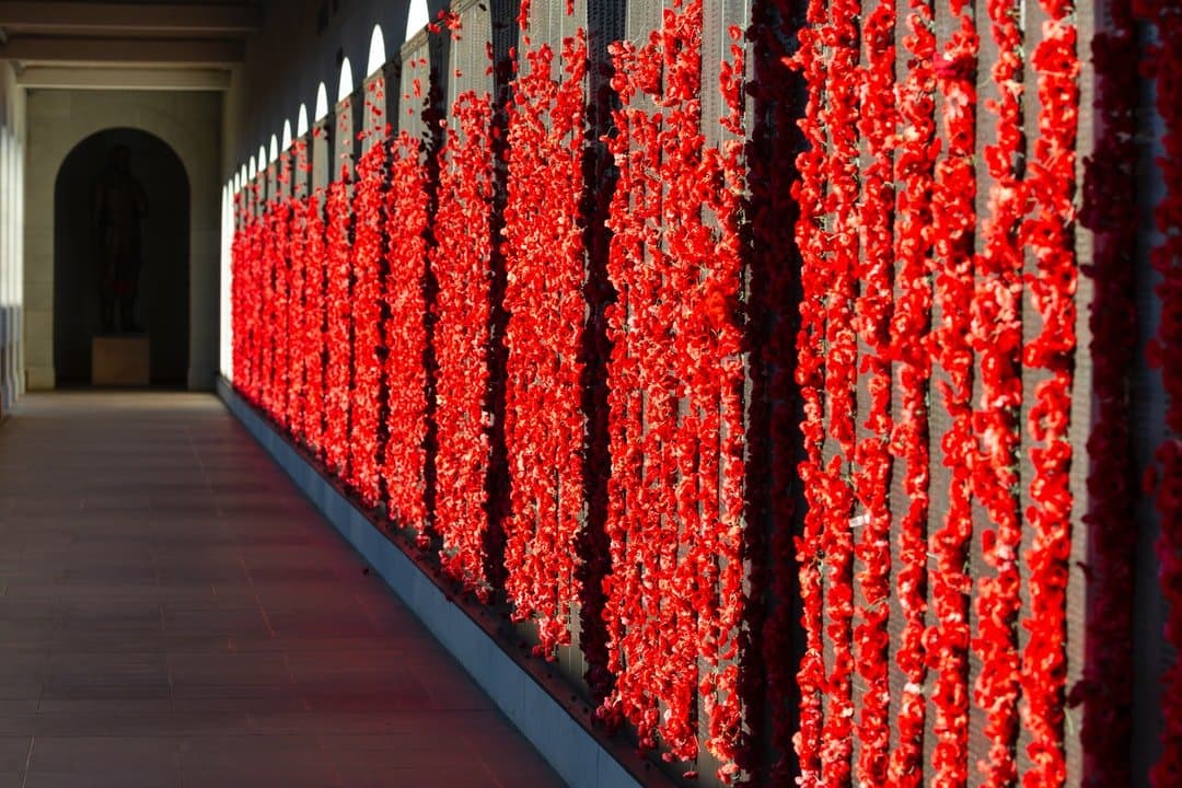 Poppy Wall